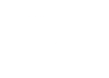 allontanamento volatili reti e bariere anti piccioni
