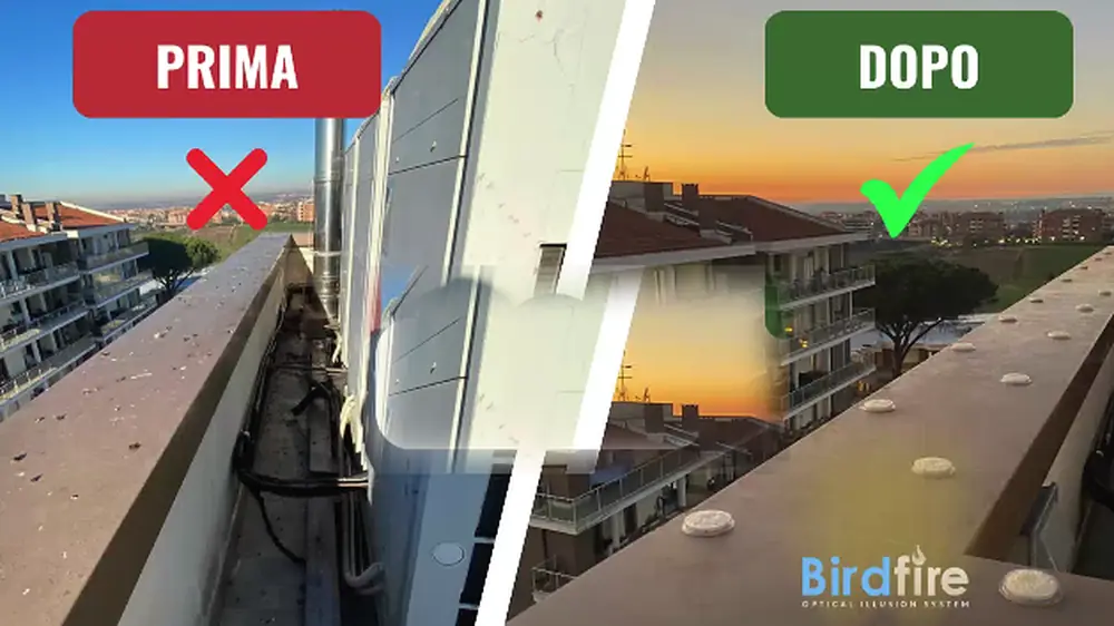 Fotogramma del video BirdFire: a sinistra la copertura prima dell’intervento, a destra la stessa terrazza dopo l’applicazione, al tramonto